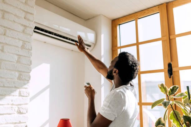 Best HVAC air duct cleaning  in Town N Country, FL